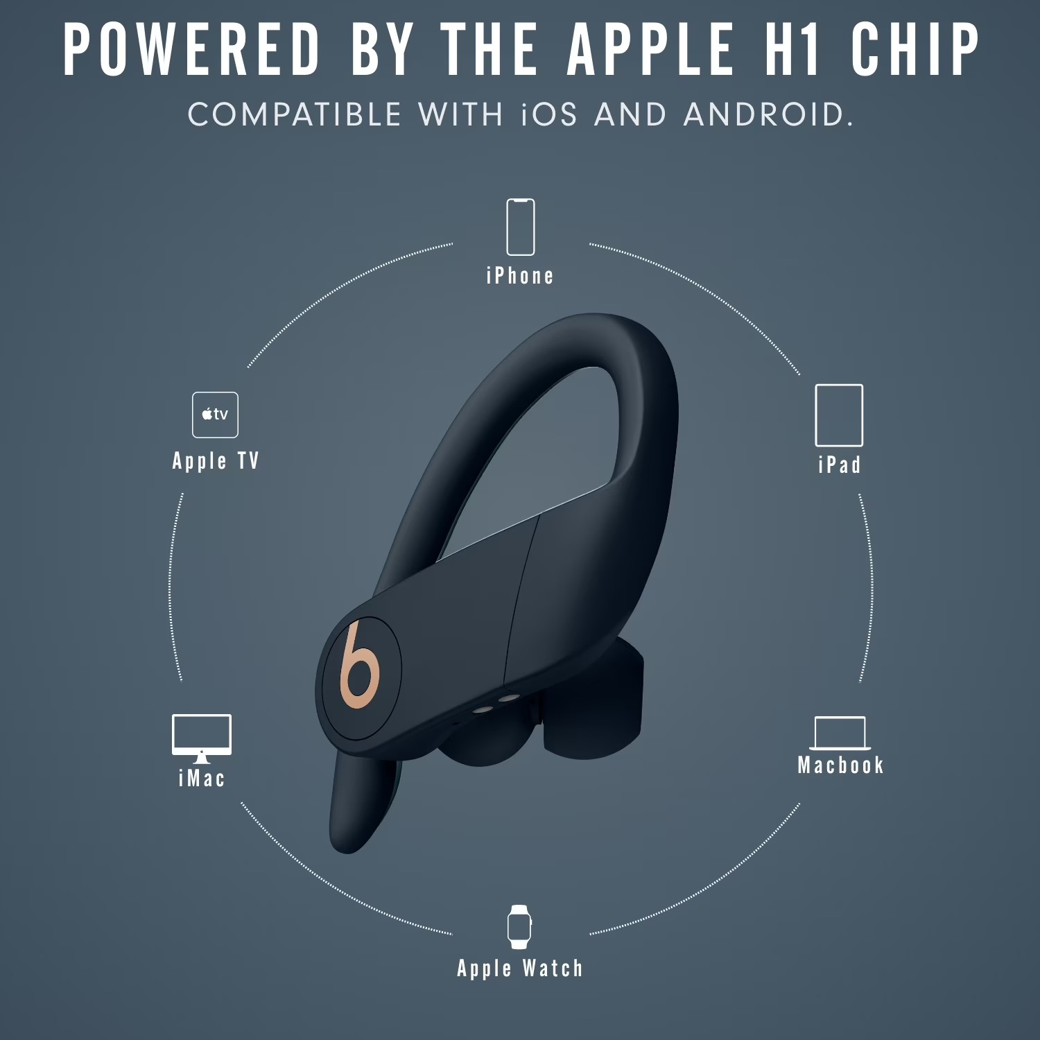 Beats Powerbeats Pro draadloze - Beats Headphone Powerbeats Pro recensie en prijs