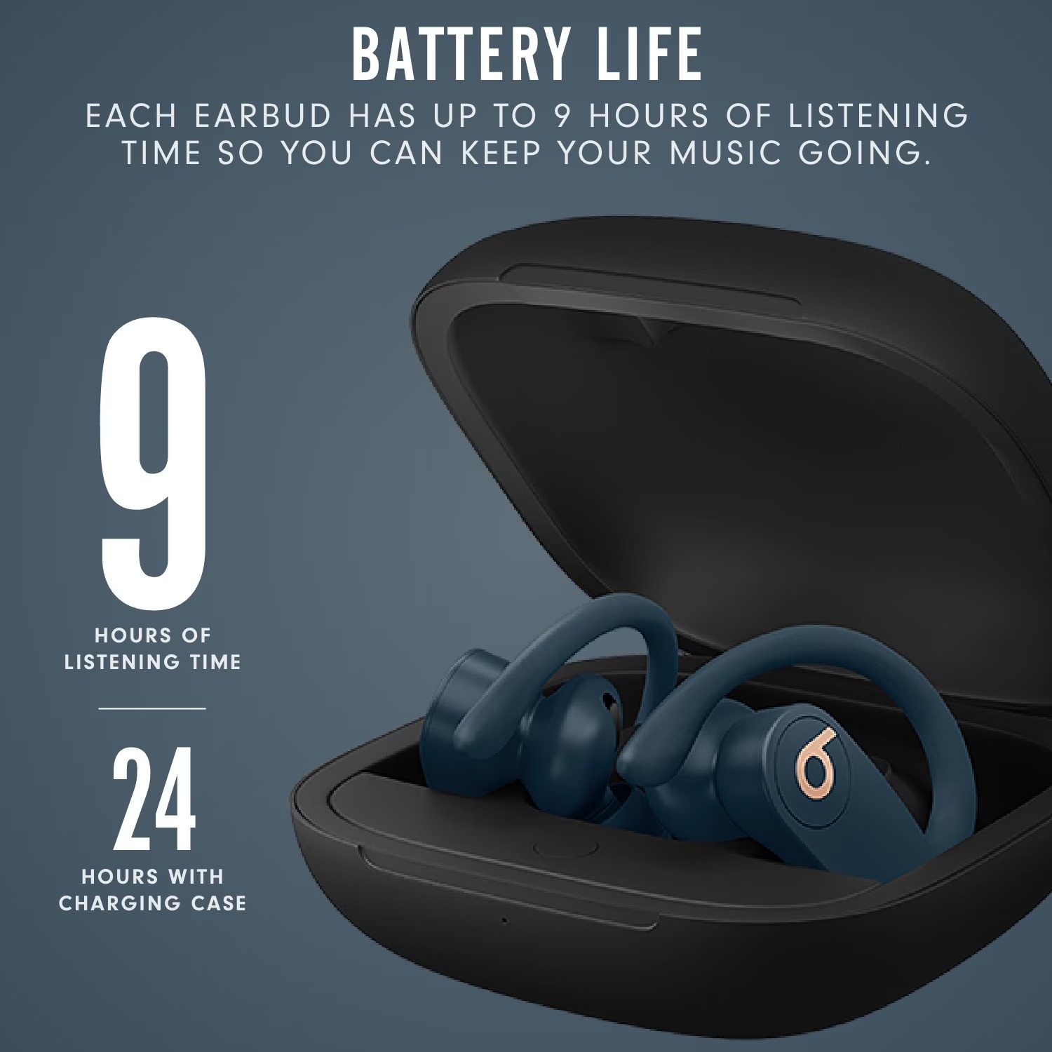 Beats Powerbeats Pro in-ear oo - Beats Headphone Powerbeats Pro recensie en prijs