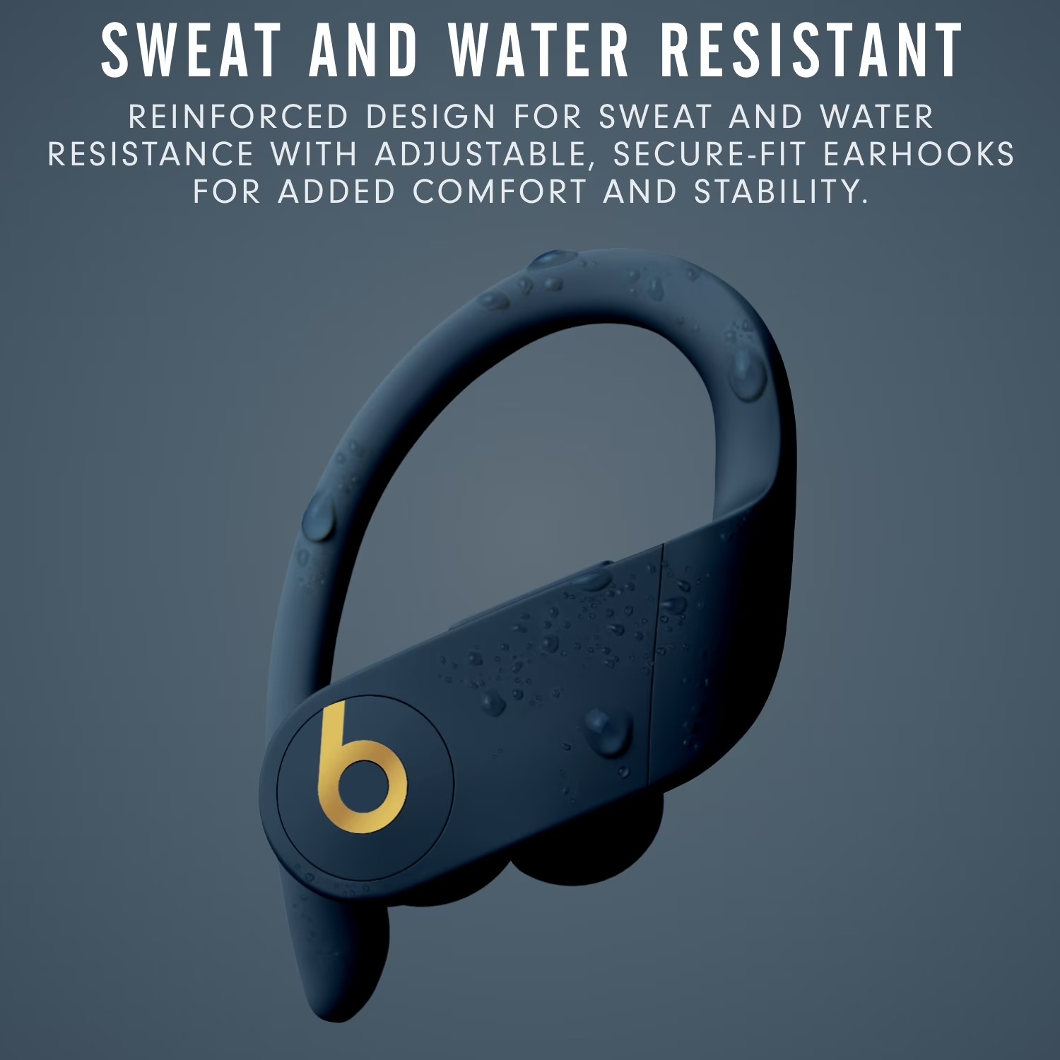 Beats Powerbeats Pro draadloze - Beats Headphone Powerbeats Pro recensie en prijs